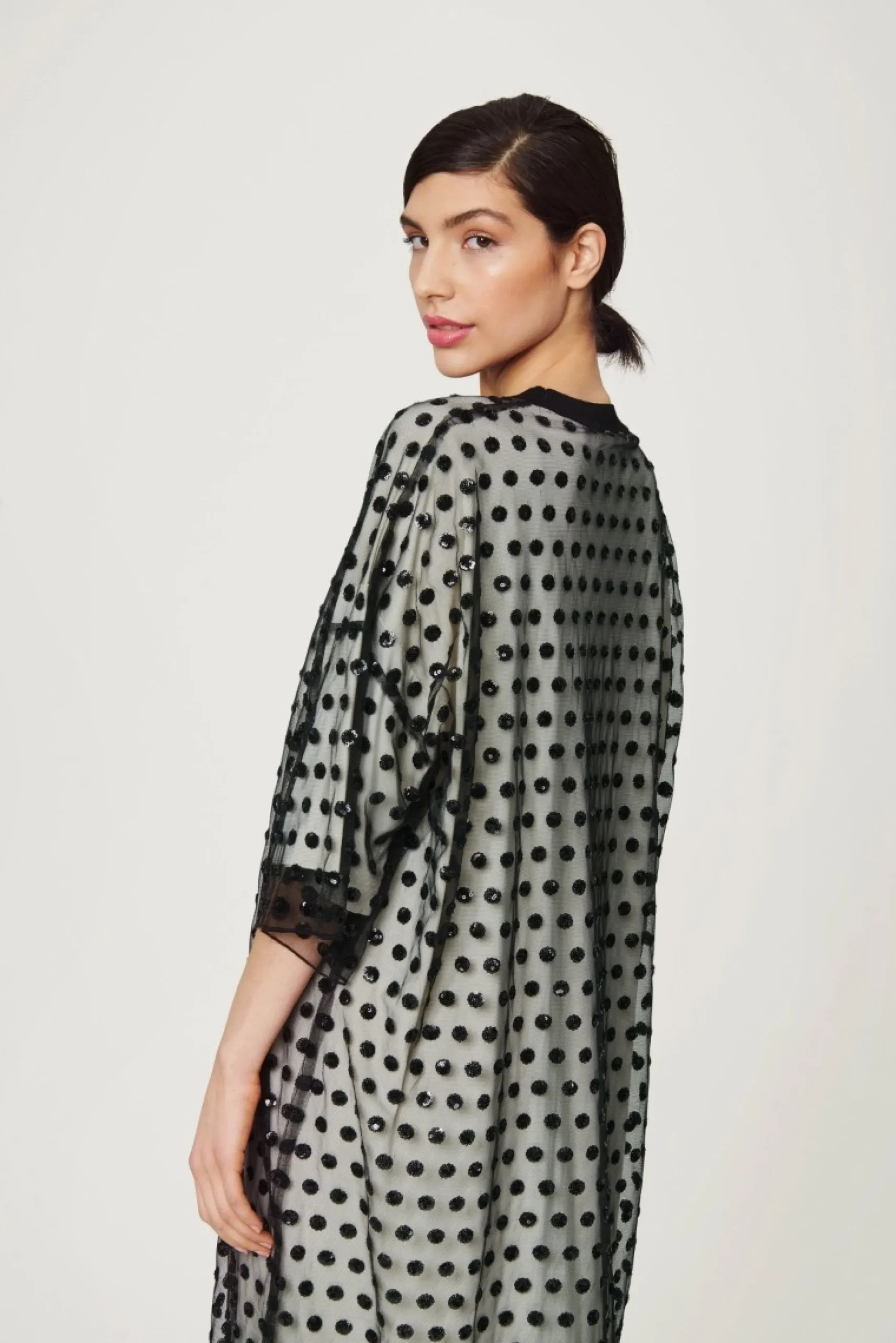 Embroidery Mesh Kjole